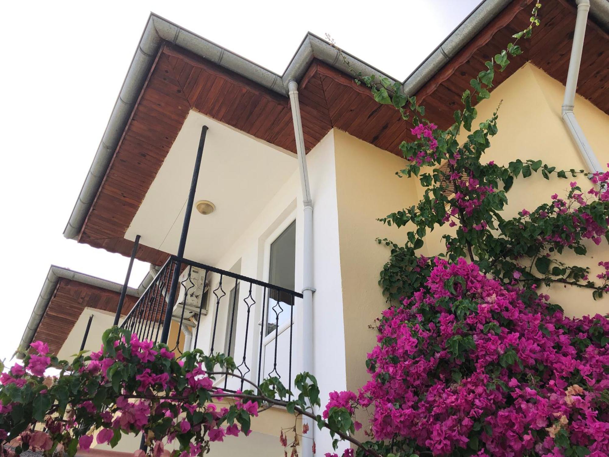 Defne Olive Gardens, Koca Calis, Fethiye - Previously Defne Pansiyon Εξωτερικό φωτογραφία