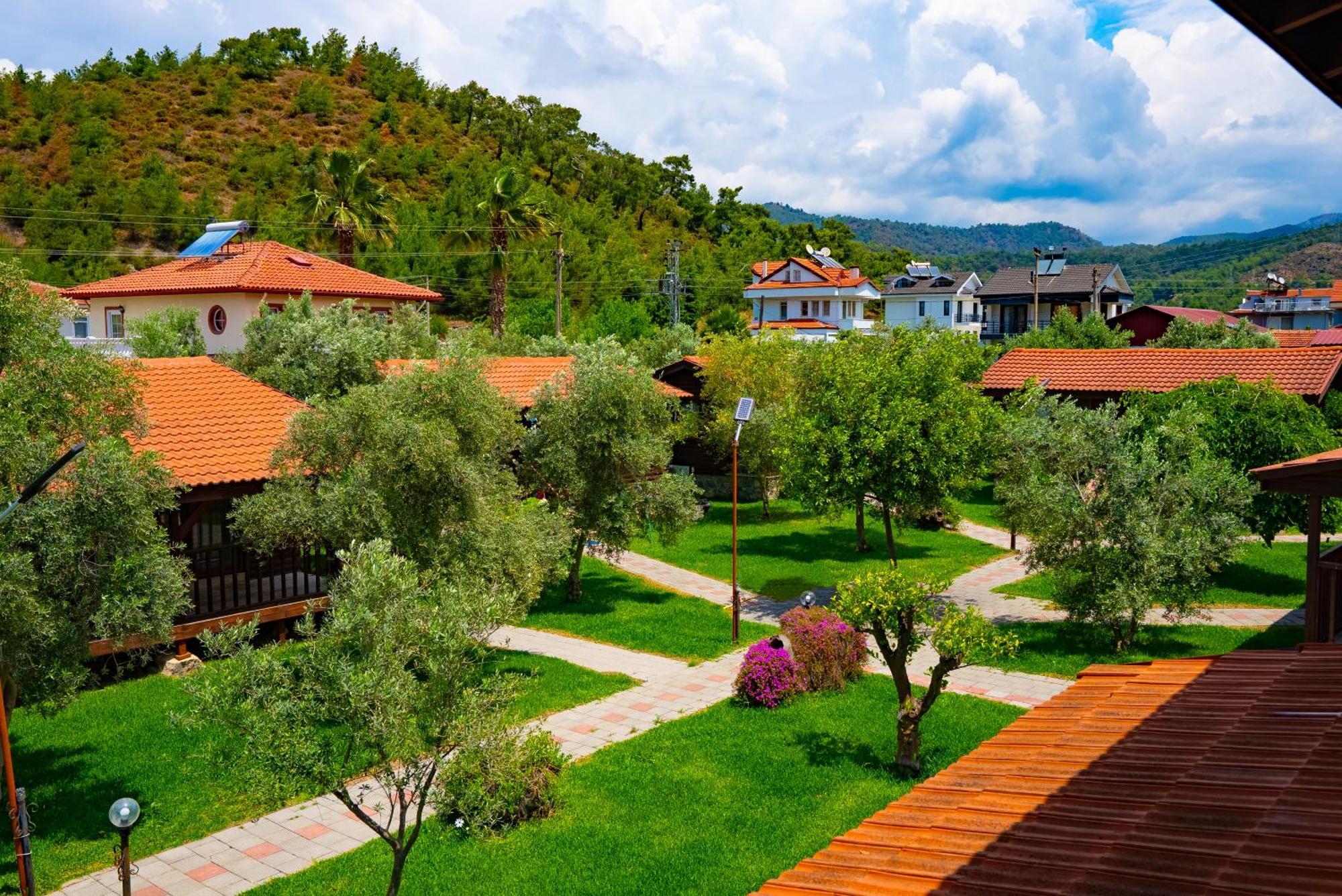 Defne Olive Gardens, Koca Calis, Fethiye - Previously Defne Pansiyon Εξωτερικό φωτογραφία