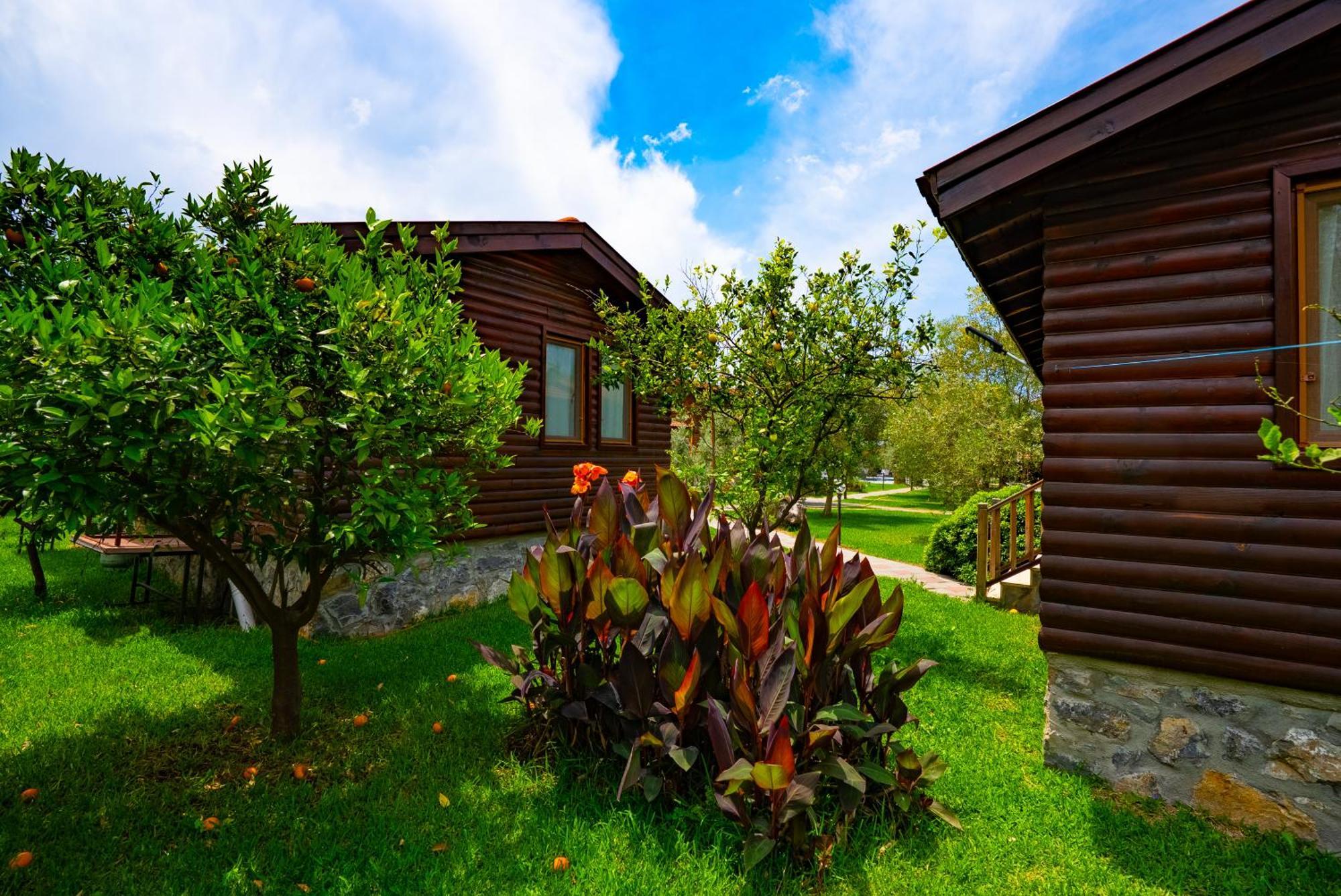 Defne Olive Gardens, Koca Calis, Fethiye - Previously Defne Pansiyon Εξωτερικό φωτογραφία