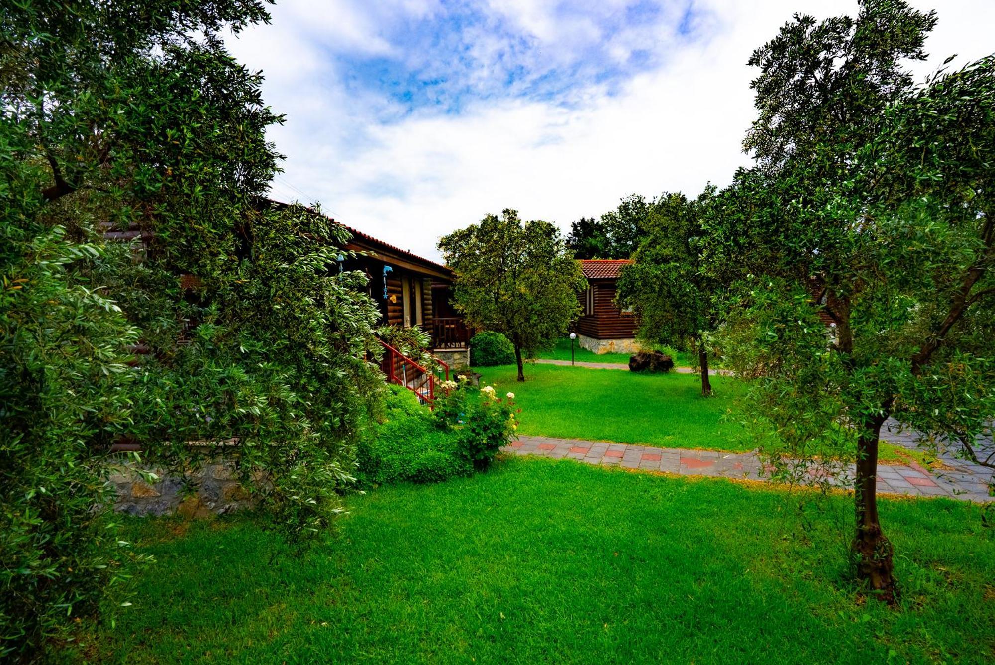 Defne Olive Gardens, Koca Calis, Fethiye - Previously Defne Pansiyon Εξωτερικό φωτογραφία